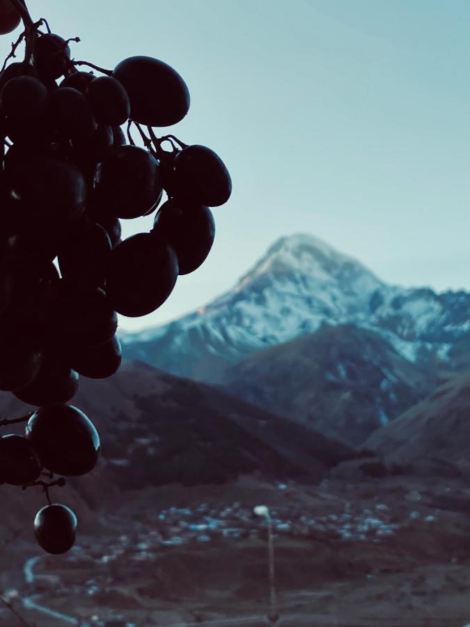 Guesthouse Relax In Kazbegi Екстериор снимка