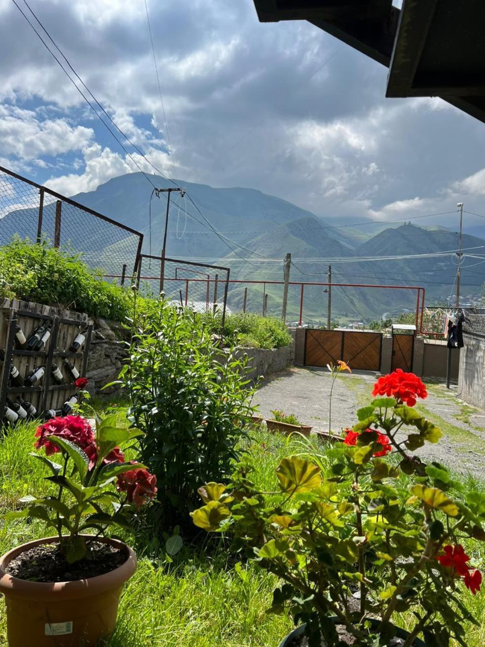 Guesthouse Relax In Kazbegi Екстериор снимка