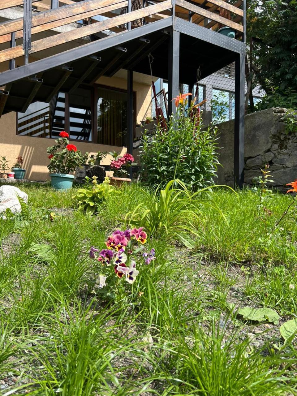 Guesthouse Relax In Kazbegi Екстериор снимка